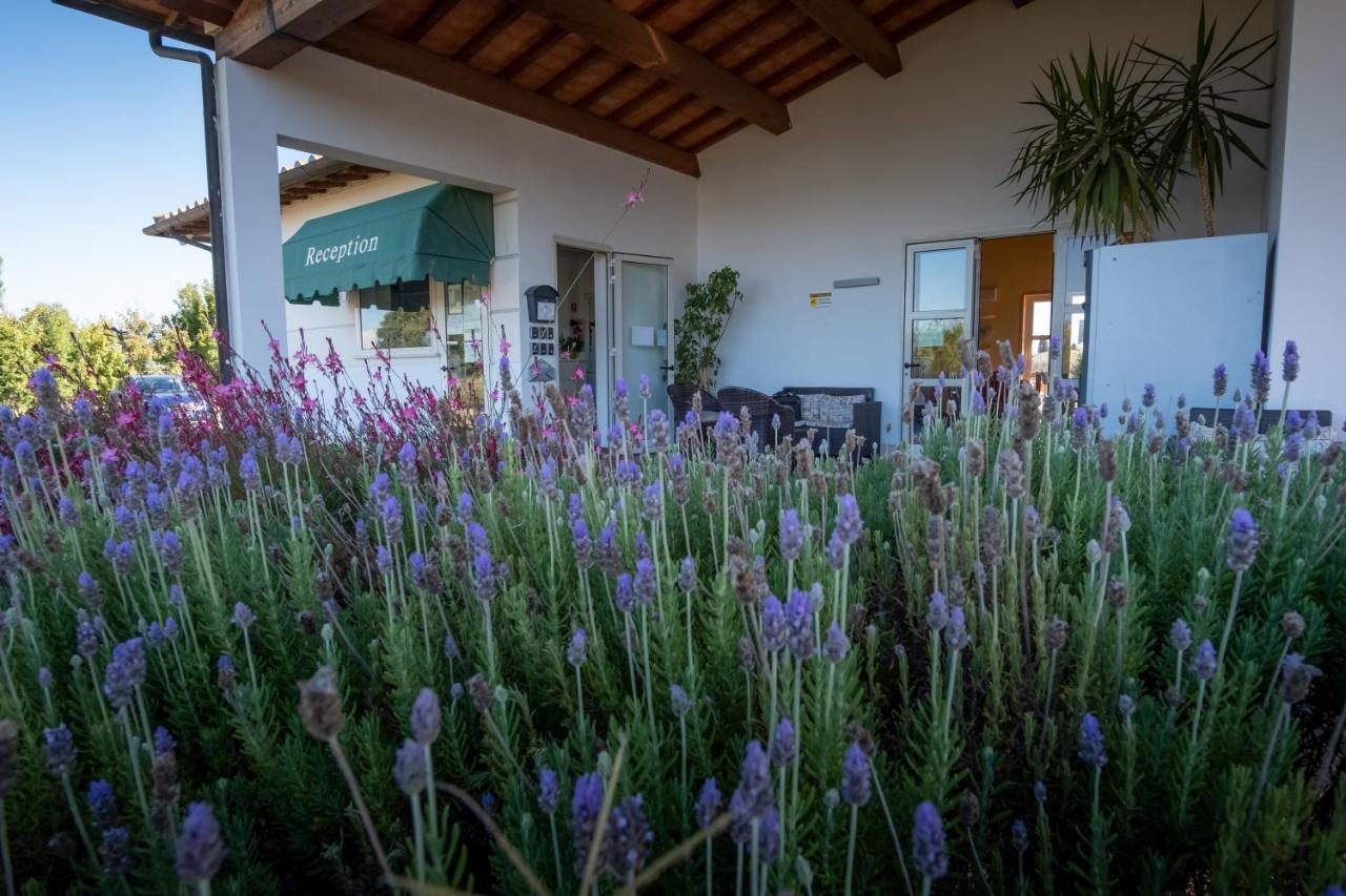 Residenza Principina Aparthotel Principina Terra Εξωτερικό φωτογραφία